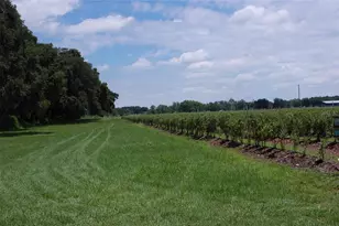 18811 SE 243rd St, Hawthorne, FL 32640 - Photo 41