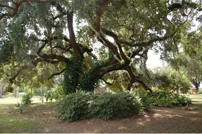 18811 SE 243rd Street, Hawthorne, FL 32640 - Photo 21