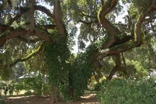 18811 SE 243rd St, Hawthorne, FL 32640 - Photo 39