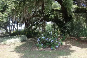 18811 SE 243rd St, Hawthorne, FL 32640 - Photo 33