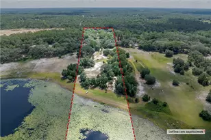 8048 County Line Rd, Melrose, FL 32666 - Photo 35