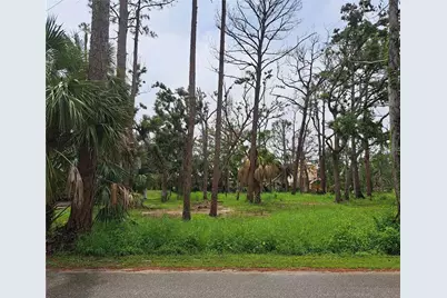 401 W 1st Street NW Lot #4, Steinhatchee, FL 32359 - Photo 1