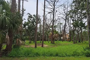 401 W 1st Street NW, Steinhatchee, FL 32359 - Photo 1