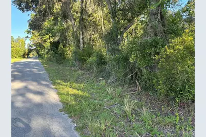 Ne Highway 351, Cross City, FL 32628 - Photo 3