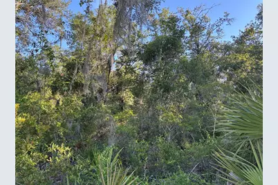 Ne Highway 351, Cross City, FL 32628 - Photo 9