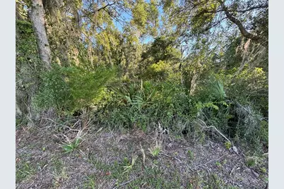 Ne Highway 351, Cross City, FL 32628 - Photo 7