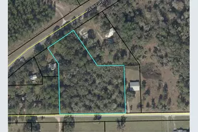 Ne Highway 351, Cross City, FL 32628 - Photo 1