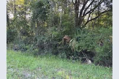 Ne Highway 351, Cross City, FL 32628 - Photo 5