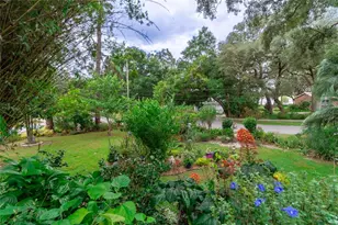 560 Live Oak Ave, Keystone Heights, FL 32656 - Photo 3