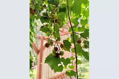 9150 SW 151st Lane, Archer, FL 32618 - Photo 51