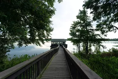 10332 Fallsgrove Street, Orlando, FL 32836 - Photo 15