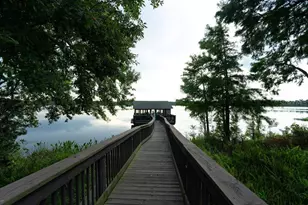 10332 Fallsgrove St, Orlando, FL 32836 - Photo 15