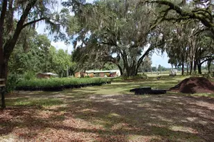 18811 SE 243rd St, Hawthorne, FL 32640 - Photo 9