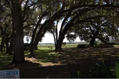 18811 SE 243rd Street, Hawthorne, FL 32640 - Photo 59