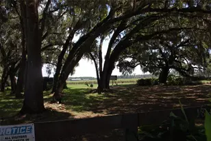 18811 SE 243rd St, Hawthorne, FL 32640 - Photo 59