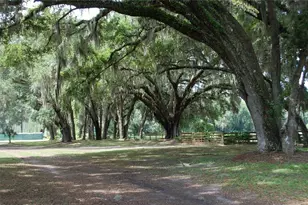 18811 SE 243rd St, Hawthorne, FL 32640 - Photo 31