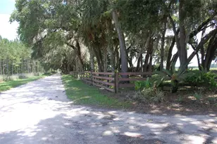 18811 SE 243rd St, Hawthorne, FL 32640 - Photo 25