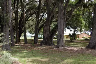 18811 SE 243rd St, Hawthorne, FL 32640 - Photo 23