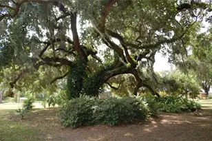 18811 SE 243rd St, Hawthorne, FL 32640 - Photo 3