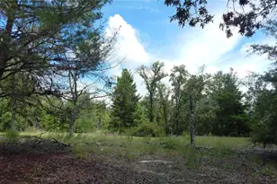 354 NW 93rd Ln, Branford, FL 32008 - Photo 35