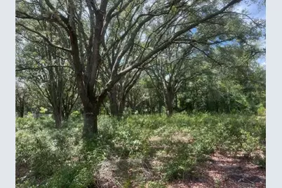 3109 N US Highway 129, Bell, FL 32619 - Photo 15