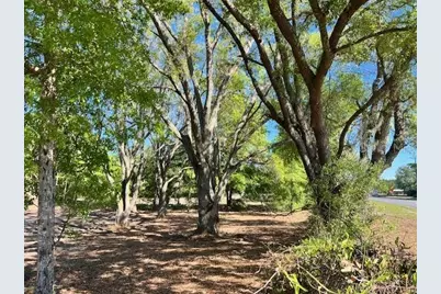 3109 N US Highway 129, Bell, FL 32619 - Photo 3