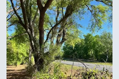 3109 N US Highway 129, Bell, FL 32619 - Photo 9