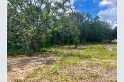 3109 N US Highway 129, Bell, FL 32619 - Photo 17