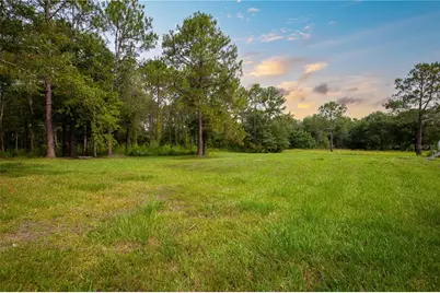 19262 NW 84th Avenue, Starke, FL 32091 - Photo 27