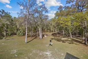 4250 NW 81st Ln, Bell, FL 32619 - Photo 7