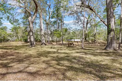 4250 NW 81st Lane, Bell, FL 32619 - Photo 43