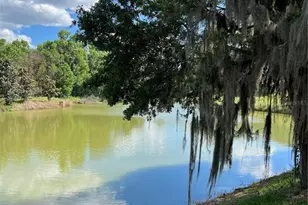 1569 NW 29 Rd, Gainesville, FL 32605 - Photo 13