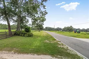 251 NW 130th St, Trenton, FL 32693 - Photo 19