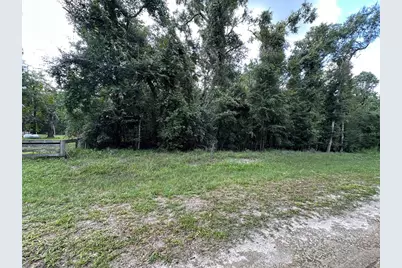 Tbd SW Reno Way, Fort White, FL 32038 - Photo 5