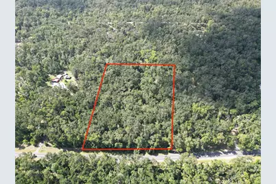 1324 NE 239 Avenue, Old Town, FL 32680 - Photo 7