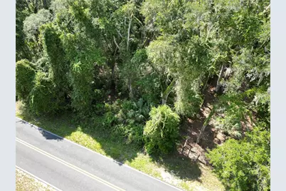 1324 NE 239 Avenue, Old Town, FL 32680 - Photo 5