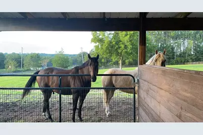 13009 NW 123rd Place, Alachua, FL 32615 - Photo 61