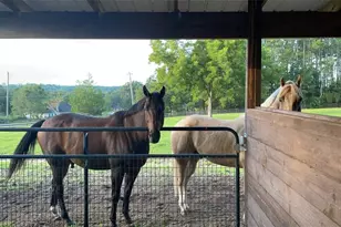 13009 NW 123rd Pl, Alachua, FL 32615 - Photo 61