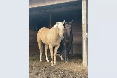 13009 NW 123rd Place, Alachua, FL 32615 - Photo 63