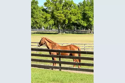 13009 NW 123rd Place, Alachua, FL 32615 - Photo 65