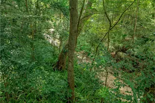 1636 NW 8th Ave, Gainesville, Fl, FL 32603 - Photo 63