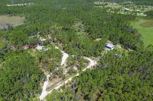 501 NE Duncan Ln NE, Steinhatchee, FL 32359 - Photo 43