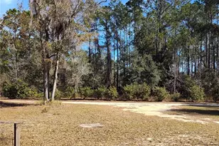 21215 SE 111 Ave, Hawthorne, FL 32640 - Photo 27