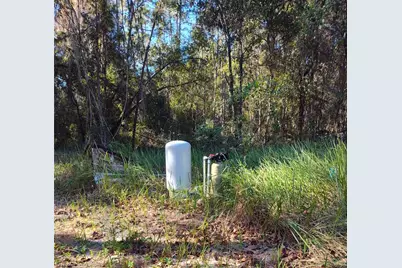 21215 SE 111th Avenue, Hawthorne, FL 32640 - Photo 5