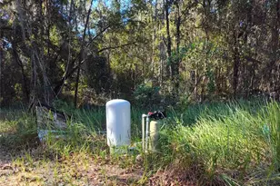 21215 SE 111 Ave, Hawthorne, FL 32640 - Photo 5