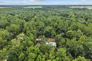 9712 NW 58th St, Chiefland, FL 32626 - Photo 27