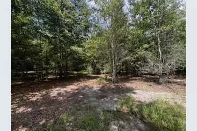 4899 NW 36th Street, Bell, FL 32619 - Photo 17