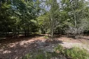 4899 NW 36th St, Bell, FL 32619 - Photo 17