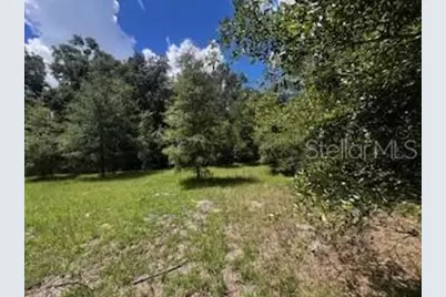 4899 NW 36th Street, Bell, FL 32619 - Photo 19