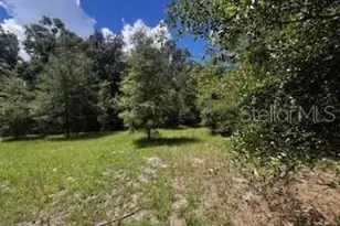 4899 NW 36th St, Bell, FL 32619 - Photo 19